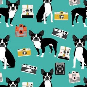 boston terrier and vintage cameras fabric cute dogs and cameras - turquoise
