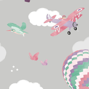 Planes, air balloons, birds and butterflies