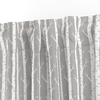 Birch Trees on Grey