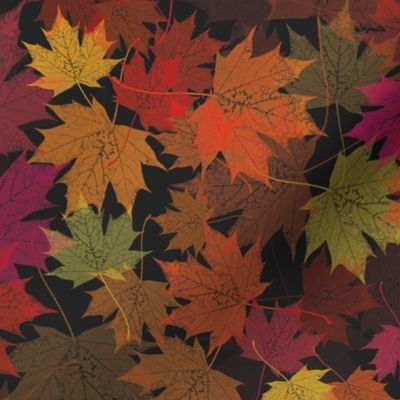 Dancing in the Dark Maple Leaves-Multi-coloured Leaves on Black