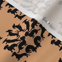 Custom Doxie Damask Black on Tan