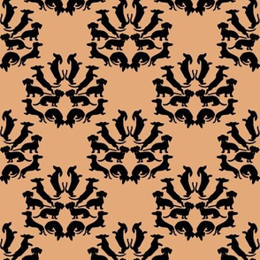 Custom Doxie Damask Black on Tan