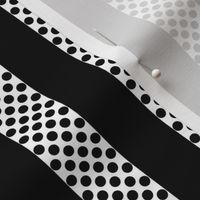 Black and White Polka Dot Stripe