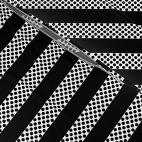 Black and White Polka Dot Stripe
