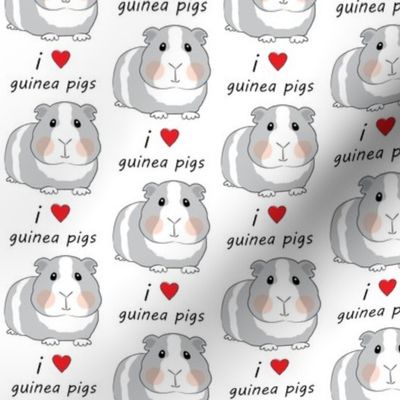 i love guinea pigs - grey