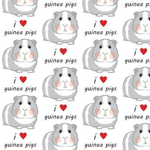 i love guinea pigs - grey