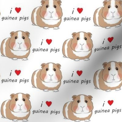i love guinea pigs - brown large