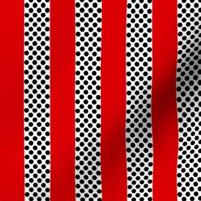 Red Black and White Polka Dot Stripe