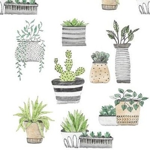 Scandinavian Cacti and Succulents