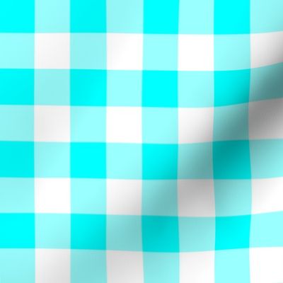 One Inch Aqua Blue and White Gingham Check