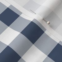 One Inch Blue Jeans Blue and White Gingham Check