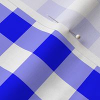 One Inch Blue and White Gingham Check