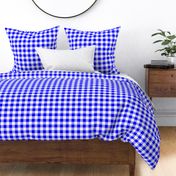 One Inch Blue and White Gingham Check