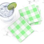 One Inch Mint Green and White Gingham Check