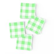 One Inch Mint Green and White Gingham Check