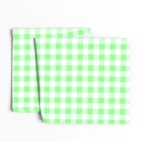 One Inch Mint Green and White Gingham Check