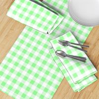 One Inch Mint Green and White Gingham Check