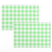 One Inch Mint Green and White Gingham Check