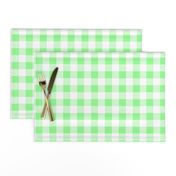 One Inch Mint Green and White Gingham Check