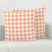 One Inch Peach and White Gingham Check