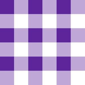 One Inch Purple and White Gingham Check