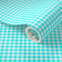 Quarter Inch Aqua Blue and White Gingham Check