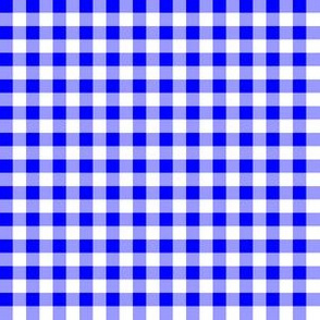 Quarter Inch Blue and White Gingham Check