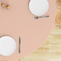 Quarter Inch Peach and White Gingham Check