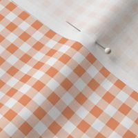 Quarter Inch Peach and White Gingham Check