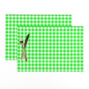 Half Inch Lime Green and White Gingham Check