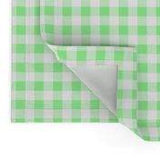 Half Inch Mint Green and White Gingham Check