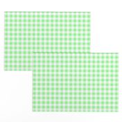Half Inch Mint Green and White Gingham Check