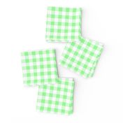 Half Inch Mint Green and White Gingham Check