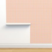 Half Inch Peach and White Gingham Check