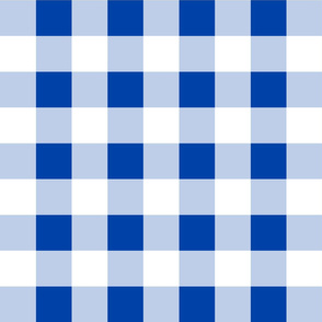 Classic Gingham ~ Hillary Blue and White