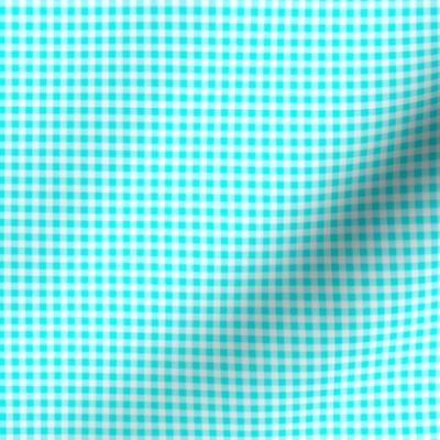 Eighth Inch Aqua Blue and White Gingham Check