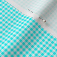 Eighth Inch Aqua Blue and White Gingham Check