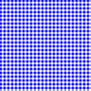 Eighth Inch Blue and White Gingham Check