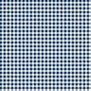 Eighth Inch Navy Blue and White Gingham Check