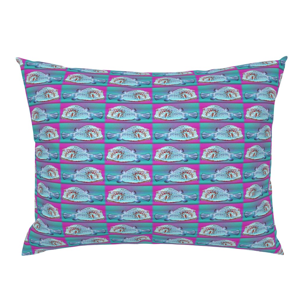 PRETTY FISH 1 AQUA FUCHSIA CHECKERBOARD