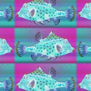 PRETTY FISH 3 AQUA FUCHSIA CHECKERBOARD