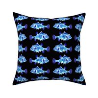 FUNNY GLOWING LITTLE FISH PHOSPHORESCENT blue on black