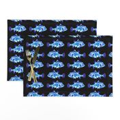 FUNNY GLOWING LITTLE FISH PHOSPHORESCENT blue on black