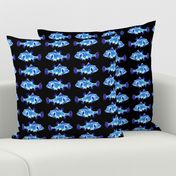 FUNNY GLOWING LITTLE FISH PHOSPHORESCENT blue on black