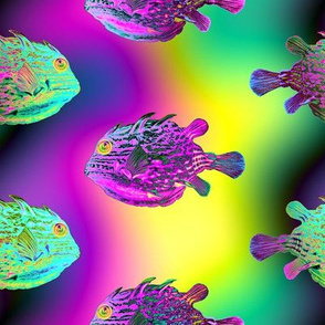 FUNNY FISH 2 RAINBOW PSYCHEDELIC UNDERWATER WORLD OCEAN YELLOW FUCHSIA GREEN