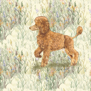 Apricot Poodle in Wildflowers for Pillow