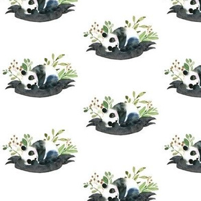 Panda Love