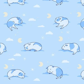 Sleeping Guinea pigs/Piggies