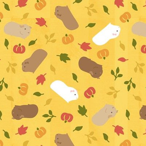 Guinea pig/Piggy in Autumn