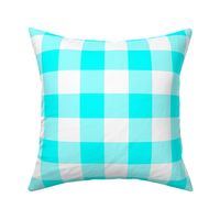 Two Inch Aqua Blue and White Gingham Check